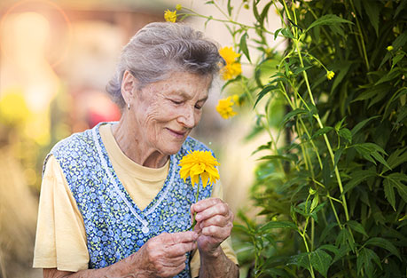 Horticultural Therapy :: On Site Specialists